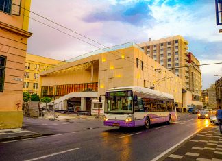 Programul STPT pentru ziua de Rusalii