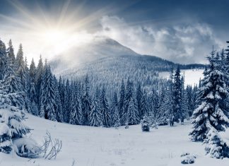 Cod galben de ninsori în Munții Banatului