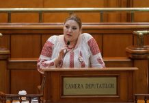 Candidatura Dianei Șoșoacă la peședinția României a fost anulată de CCR