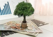 Orașe mai verzi și moderne: ADR Vest oferă 50 de milioane euro pentru regenerare urbană