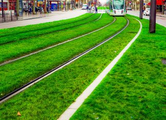 Încep lucrările la cel mai ambițios proiect din 2021: Calea Bogdăneștilor