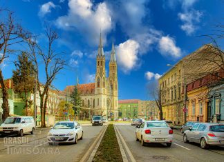 2,43‰ rata de infectare în Timișoara! Ne apropiem de normalitate