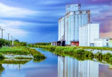 Primăria Timișoara caută proiectant pentru podul peste Bega din zona Solventul