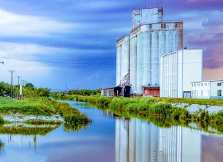 Primăria Timișoara caută proiectant pentru podul peste Bega din zona Solventul