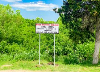 DRDP montează camere de supraveghere în locurile unde se depozitau ilegal deșeuri. Ce amenzi prevede legea și cum poți rămâne fără mașină dacă arunci gunoiul la marginea drumului?