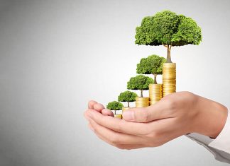 Timișoara modernizează două școli cu fonduri europene de peste 85 milioane de lei