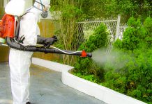 Dezinsecție nocturnă în Timișoara: Primăria combate țânțarii și căpușele în perioada 2–8 iunie