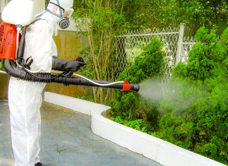 Primăria Timișoara anunță o nouă campanie de dezinsecție și deratizare în perioada 12–26 noiembrie