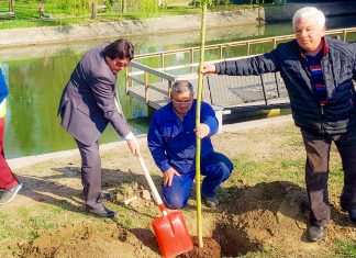 Timpul schimbării: „Au trecut regimuri, guverne, mineriade, primari și generații întregi de consilieri locali” și Drăgilă a rămas la conducerea Horticultura SA. Răspunsul vicelui Lațcău la acuzațiile șefului Horticultura