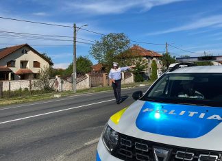 9 permise de conducere reținute de IPJ și 50 de sancțiuni date peste weekend în județ