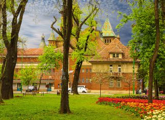 După ce l-a demis cu scandal pe Ioan Gârboni, PMT organizează un concurs de proiecte de management pentru Filarmonica ”Banatul”