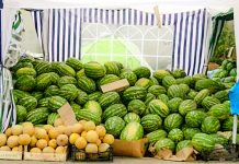 Propunere : fără produse locale false pe piețele din oraș! Exemplul lubeniței de Gottlob care se găsea la vânzare în piețele din Timișoara cu trei săptămâni înainte de a fi coaptă