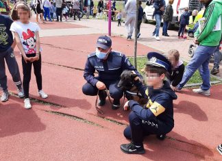 Peste 20 de candidați pe loc pentru cele 14 posturi de ajutor șef de post la concursul organizat de IPJ Timiș