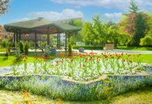 Se prelungește, cu o săptămână, închiderea accesului publicului în Parcul Botanic