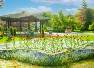 Se prelungește, cu o săptămână, închiderea accesului publicului în Parcul Botanic