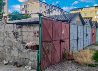 Roxana Iliescu: Cred că în Timișoara nu ar trebui să mai existe niciun garaj pe domeniul public (galerie foto)