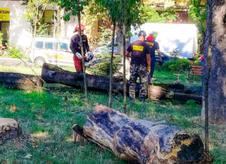 Dominic Fritz: a venit timpul să tragem linia cu Horticultura! Primarul vrea demiterea coducerii executive a Horticultura SA