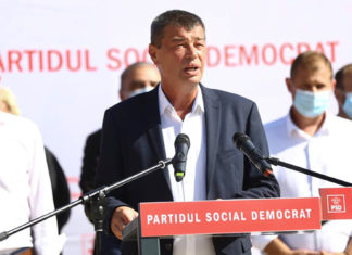 Radu Țoancă către Dominic Fritz: sesizați DNA-ul și în cazul colegei useriste de la Horticultura, care a încalcat legea !