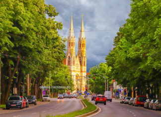 Garda de Mediu a amendat Primăria Timișoara cu 200.000 lei pentru că nu avea un registru al spațiilor verzi