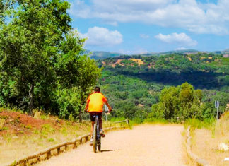 Turism pe bicicletă – CJT a făcut harta tuturor traseelor pentru bicicliști din județ și conectarea lor la rețeau europeană de cicloturism