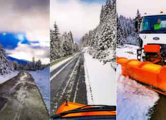 Prima intervenție pentru deszăpezire a DRDP Timișoara