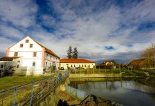 Morile Banatului, un nou proiect al Asociației Acasă în Banat. 85 de mori de cereale au fost identificate în județul Timiș (galerie foto)