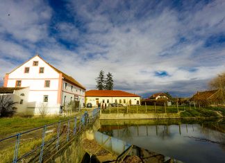 Morile Banatului, un nou proiect al Asociației Acasă în Banat. 85 de mori de cereale au fost identificate în județul Timiș (galerie foto)