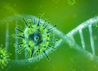 Medlife: 73% din cazurile de infectare Covid-19 din Timișoara sunt cu Omicron