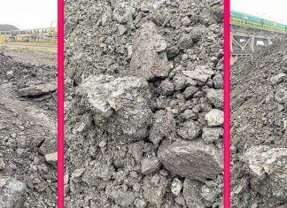 Roxana Iliescu despre frigul din calorifere: „Consumăm în draci gaz pentru arderea pământului și a bolovanilor” (video)