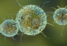 Deltacron – următoarea variantă de coronavirus a fost descoperită în Cipru