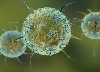 Deltacron – următoarea variantă de coronavirus a fost descoperită în Cipru