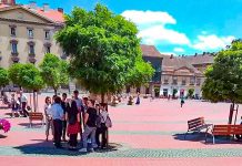 Dominic Fritz vrea să readucă arborii de mari dimensiuni în Piața Libertății: „Reparăm greșelile trecutului și creștem calitatea spațiului urban din orașul nostru”