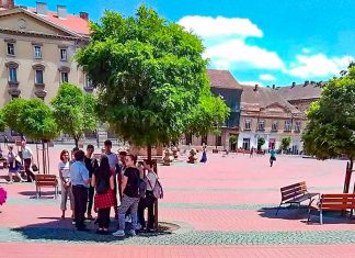 Dominic Fritz vrea să readucă arborii de mari dimensiuni în Piața Libertății: „Reparăm greșelile trecutului și creștem calitatea spațiului urban din orașul nostru”