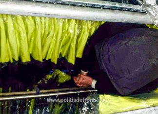 29 de cetăţeni străini, depistaţi ascunşi într-un TIR la PTF Nădlac II