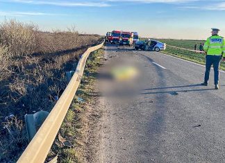 Șoferiță inconștientă – a lăsat un copil de 7 ani orfan de ambii părinți și fără frățiorul de doi ani pe șoseaua dintre Săcălaz și Sânmihaiu Român