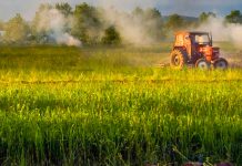 Crește salariul minim în agricultură și industria agro-alimentară la 3.000 de lei și se dublează norma de hrană pentru pacienții spitalelor