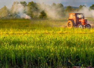 Consiliul Județean Timiș lansează în dezbatere publică noile tarife agricole