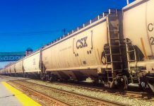 Ucraina a restricționat exportul anumitor produse agricole spre Polonia şi România