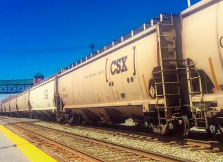 Ucraina a restricționat exportul anumitor produse agricole spre Polonia şi România