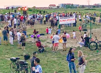 Primăria Dumbrăvița acuză voalat o consilieră locală a partidului Pro România de evaziune fiscală