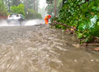 Cod galben emis pentru posibile inundații în județul Timiș în timpul dimineții