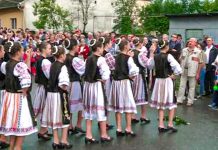 Ruga din Mehala aduce câteva restricții de circulație în 2 și 3 iunie