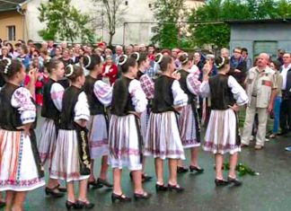 Ruga din Mehala aduce câteva restricții de circulație în 2 și 3 iunie