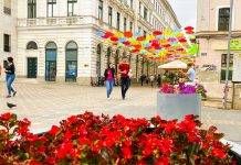 Termenul final pentru recenzarea populației se prelungește cu o săptămână, până pe 24 iulie