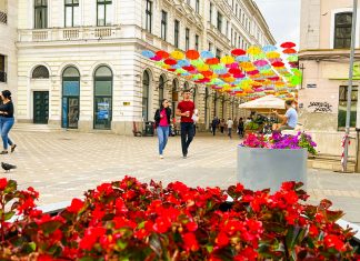 Termenul final pentru recenzarea populației se prelungește cu o săptămână, până pe 24 iulie