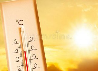 Zi de foc pentru Timișoara! Termometrul va ajunge din nou la 40 de grade Celsius. Autoritățile anunță că sunt pregătite să facă față valului de cădură