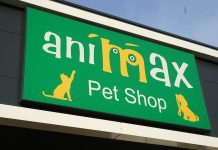 Vino să descoperi universul Animax din Timișoara!