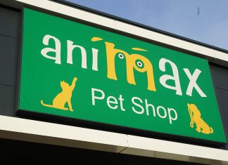 Vino să descoperi universul Animax din Timișoara!