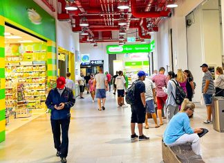 Timiș – dezastru la recensământul populației! 83,5% din timișeni s-au recenzat, județul nostru fiind pe ultimul loc din România la procentul populației recenzate