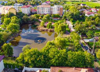 Balta Lămâița din Freidorf – curățată de vegetație și gunoaie